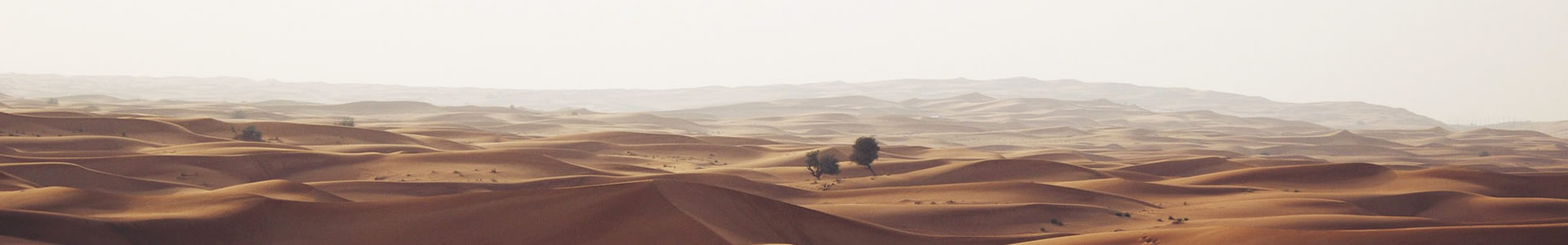 ΪԴԶƼ޹˾